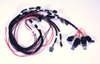 COIL HARNESS, COYOTE, XR - image 2