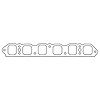 C14029-060 Volkswagen 3.2L VR6 Intake Manifold Gasket - image 1
