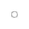 C4795-031 BMW M10B18/M10B20 Thermostat Gasket