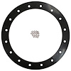 6G-V-OR 6 in. Diameter Viton Gasket, 16 Hole with Viton O-Rings - image 1