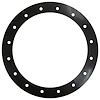 6G-V 6 in. Diameter 16 Hole Viton Gasket - image 1