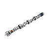 XFI Hydraulic Roller Camshaft GM LT1 & LT4 350ci 1995-97 Lift: .560"/.555" With 1.6 Rockers - image 1