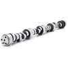 CAMSHAFT CS 299QS10 .900 BASE - image 1