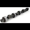 Thumpr Hydraulic Flat Tappet Camshaft Lift .531"/.515" Duration 294/312 RPM Range 2500 to 5800 - image 1