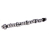 Magnum Mechanical Roller Camshaft Chrysler 273-360ci 1964-2000 Lift: .550"/.550"