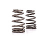 Beehive Valve Spring Universal