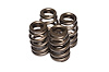Beehive Valve Spring Universal - image 1