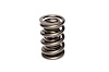 Dual Valve Springs Outer Spring O.D.: 1.551 in.
