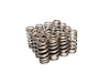 Beehive Valve Spring Ford 4.6L/5.4L 2V & 3V - image 1