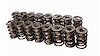Dual Valve Springs Outer Spring O.D.: 1.560 in. - image 1