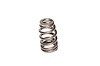 Beehive Valve Spring Universal - image 1