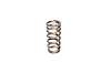 Beehive Valve Spring Ford 4.6L 4V - image 1