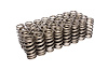 Beehive Valve Spring Ford 4.6L 4V - image 1