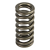 VALVE SPRING 6.0/6.4 FORD - image 1