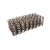 Beehive Valve Spring Ford 4.6L/5.4L 2V & 3V - image 1