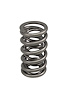 VALVE SPRING DUAL .700MAX - image 1