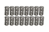 VALVE SPRINGS DUAL .700" - image 1