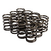 26903-12 Single Valve Springs Rate: 300 lbs. - image 1