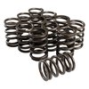 26903-12 Single Valve Springs Rate: 300 lbs. - image 2