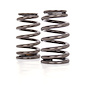 VALVE SPRING BEEHIVE LS - image 1