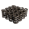 26911-16  Single Valve Springs Rate: 410 lbs. - image 1