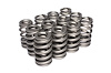 Beehive Valve Spring Chevy LS1/LS2/LS6 - image 1