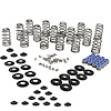 ENGINE VALVE SPRING KIT - image 1