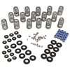 ENGINE VALVE SPRING KIT - image 2