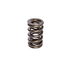 Dual Valve Springs Outer Spring O.D.: 1.320 in.