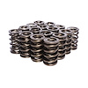 Dual Valve Springs Outer Spring O.D.: 1.320 in. - image 1