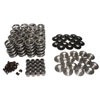 Dual Valve Spring & Titanium Retainer Kit I.D.of Outer Dia:.958" - image 1