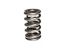 Dual Valve Springs Outer Spring O.D.: 1.320 in. - image 1