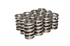 Dual Valve Springs Outer Spring O.D.: 1.320 in. - image 1