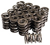 26929-16 Dual Valve Springs w/Damper O.D. 1.560 in. [Set of 16] - image 1