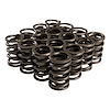26942-16  Single Valve Springs Rate: 350 lbs. - image 1