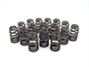Elite Valve Spring Spring O.D: 1.500" - image 1