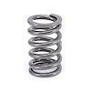 VALVE SPRING 1.320 O.D. SING - image 1