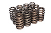 Beehive Valve Spring Small Block Chevy - image 1