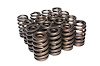 Beehive Valve Spring Small Block Chevy