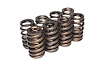 Beehive Valve Spring Small Block Chevy - image 1