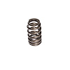 Beehive Valve Spring Universal - image 1