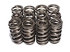 Beehive Valve Spring Universal - image 1