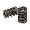 26987-16 Dual Valve Springs w/Damper O.D. 1.442 in. - image 2