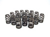 Beehive Valve Spring Universal