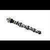 Specialty Hydraulic Flat Tappet Camshaft