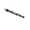 CAMSHAFT FW INGLESE 272E HR-15 - image 1