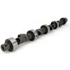 Specialty Hydraulic Flat Tappet Camshaft - image 1