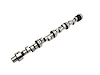 Thumpr Retro-Fit Hydraulic Roller Camshaft Lift: .513"/.498" - image 1