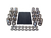 COMP CAMS GM LS1 INRPM KI