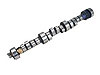 Magnum Camshaft - image 1